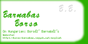 barnabas borso business card